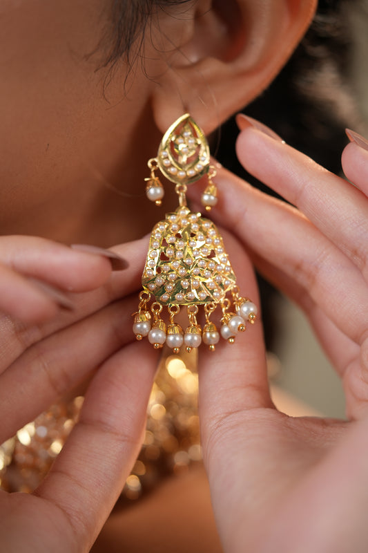 Golden Radiance Punjabi Set